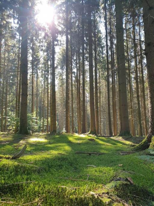 Gite N° 20, En Pleine Nature, Frontalier Signy-le-Petit Exteriör bild